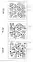 Fig. 03 - Semi-solid electrodes having high rate capability