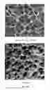 Fig. 08 - Process for Producing Flexible and Shape-Conformal Cable-Type Alkali Metal Batteries