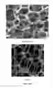 Fig. 09 - Process for Producing Flexible and Shape-Conformal Cable-Type Alkali Metal Batteries