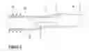 Fig. 03 - Wire harness