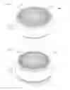 Fig. 02 - Stator and method of manufacturing stator