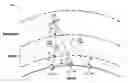 Fig. 01 - Phase sensitive beam tracking system