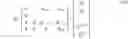 Fig. 09 - Methods and devices for sub-block decoding data signals