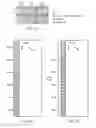 Fig. 10 - Quantized K-resource element row-column interleaver