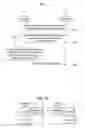 Fig. 11 - Method for channel state report using aperiodic channel state information-reference signal and apparatus therefor