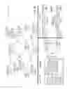 Fig. 03 - Short training field (STF) within wireless communications