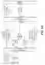 Fig. 20 - Systems, apparatuses and methods for network packet management