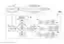 Fig. 01 - DNS resolution of overlapping domains in a multi-tenant computing environment