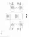 Fig. 06 - Rule placement in network devices