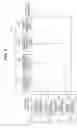 Fig. 09 - Image pickup apparatus that reduces amount of information of defective pixels, method of controlling the same, and storage medium