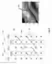 Fig. 09 - Feature compensated borehole image coding