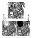 Fig. 07 - Systems and methods of fusing multi-angle view HD images based on epipolar geometry and matrix completion