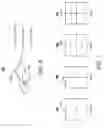 Fig. 08 - Nonlinear local activity for adaptive quantization