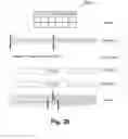 Fig. 30 - Transcode PCL delta-row compressed image to edges