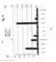 Fig. 15 - Real-time audience measurement system