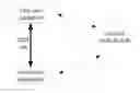 Fig. 01 - Key exchange method and apparatus