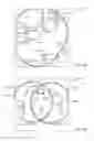 Fig. 04 - Visual representation of signal strength using machine learning models