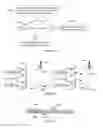 Fig. 06 - Uplink transmissions for dual connectivity