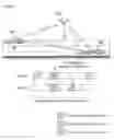 Fig. 31 - Method and apparatus for transmitting and receiving data in wireless communication system