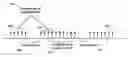 Fig. 01 - Almost blank subframe in carrier aggregation