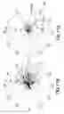 Fig. 17 - Bandwidth reduction with beamforming and data compression