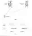 Fig. 02 - COMMUNICATION METHOD, COMMUNICATIONS APPARATUS, TERMINAL, AND BASE STATION