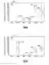 Fig. 05 - Multiscale approach to predictable wireless networking