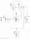 Fig. 07 - Wireless communication apparatus, communication method, and communication system