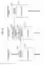 Fig. 11 - Wireless communication apparatus, communication method, and communication system