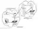 Fig. 01 - Method and apparatus of supporting wireless femtocell communications