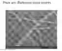 Fig. 01 - Method of making transparent conductive electrodes comprising merged metal nanowires