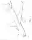 Fig. 02 - ELECTRONICS CHASSIS ASSEMBLY