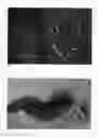 Fig. 02 - Hosta plant named 'One Last Dance'