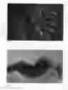 Fig. 02 - plant named ‘Wrinkle in Time’
