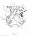 Fig. 08 - Seed ablation