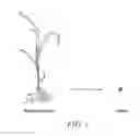 Fig. 02 - METHODS AND COMPOSITIONS FOR CULTIVATING PLANTS AND ARTIFICIAL PLANT SEEDS