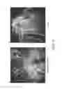 Fig. 06 - METHODS AND COMPOSITIONS FOR CULTIVATING PLANTS AND ARTIFICIAL PLANT SEEDS