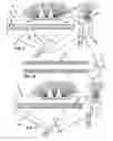 Fig. 05 - Predator deterrent vest