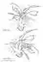 Fig. 08 - Fishing lure for securing live bait