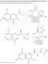 Fig. 06 - Herbicidal compounds