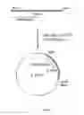 Fig. 03 - Enzyme preparations yielding a clean taste