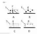 Fig. 02 - MICROSTRUCTURED FOOD ITEM