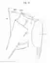 Fig. 07 - Suit pattern and measuring device for suit pattern
