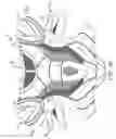 Fig. 18 - ATHLETIC GEAR PROVIDING ENHANCED MOISTURE MANAGEMENT