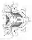 Fig. 31 - ATHLETIC GEAR PROVIDING ENHANCED MOISTURE MANAGEMENT
