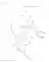 Fig. 02 - SURGICAL MASK