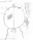 Fig. 02 - Wig