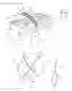 Fig. 03 - Wig