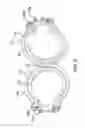 Fig. 03 - Ring assembly