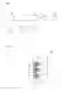 Fig. 06 - BRUSH FOR COSMETICS